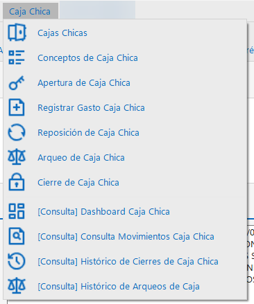 Menú de Navegación Caja Chica